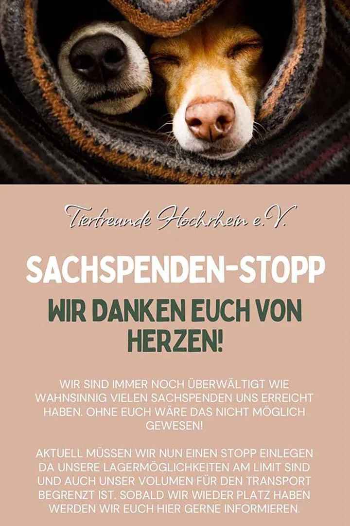 Tierhilfe in Spanien nach den Unwettern – Franziska Schären Stiftung (Bild 21)