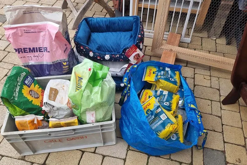 Tierhilfe in Spanien nach den Unwettern – Franziska Schären Stiftung (Bild 7)