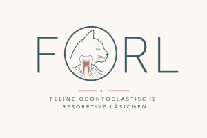 Illustration eines Katzenzahns mit der Abkürzung FORL für feline odontoklastische resorptive Läsionen.